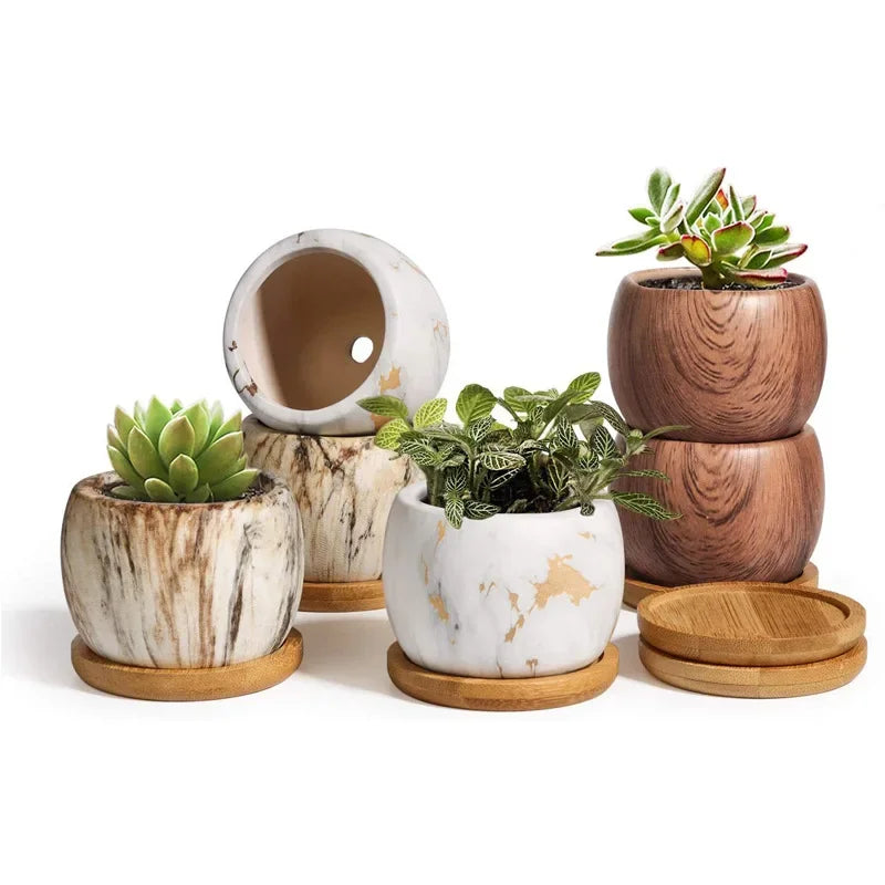 Nordic Ceramic Succulent Flower Pots