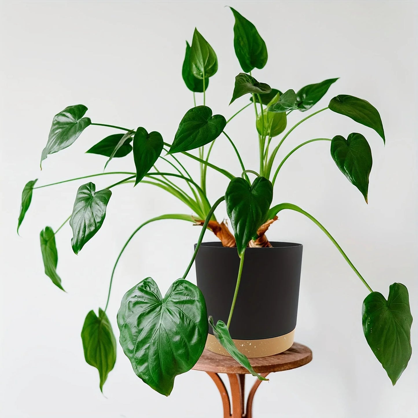2pcs Round Flower Pot 6.5inch Detachable Bottom Outdoor Garden Home Supplies